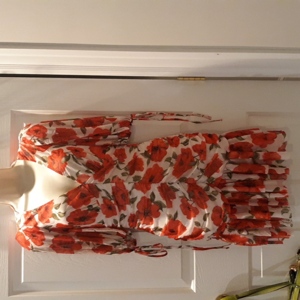 ASOS White Dress with Red Floral Print